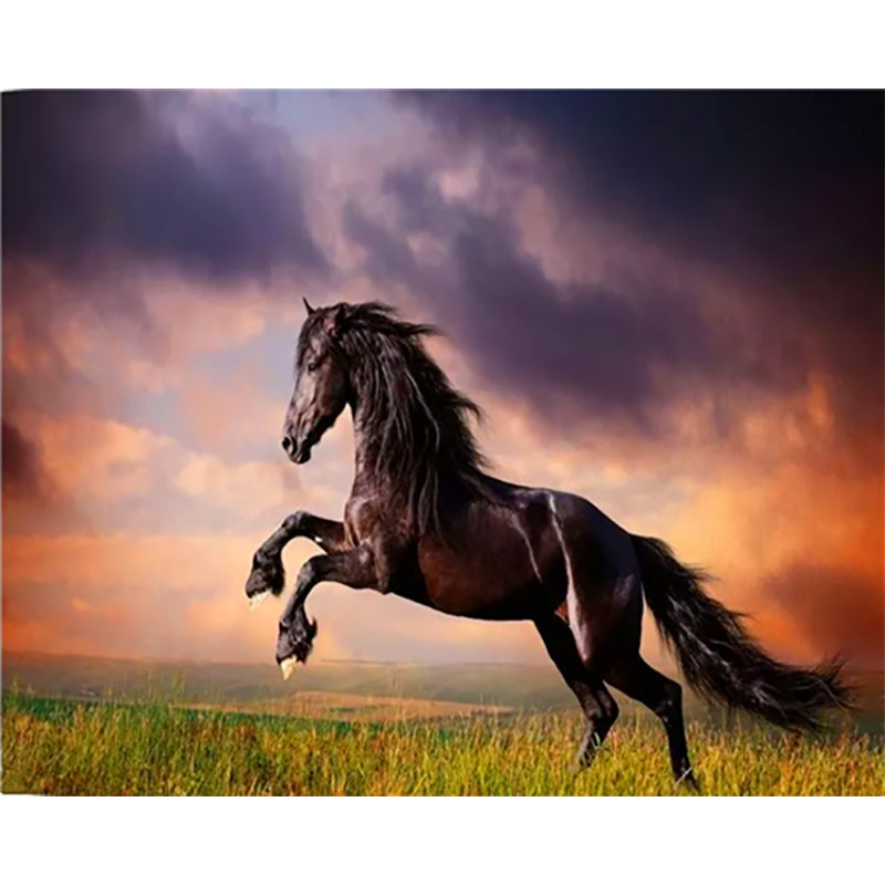 Photography & Wall Art