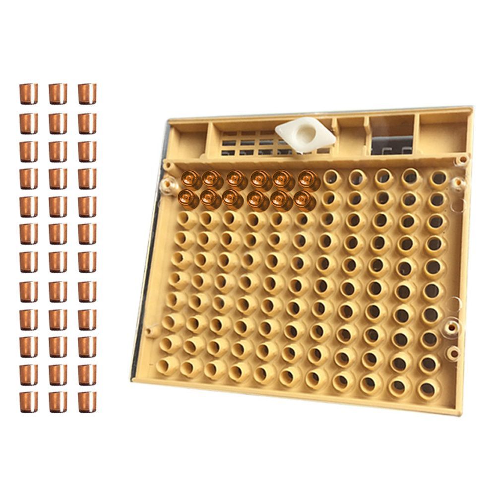Queen bee breeding system cultivation box