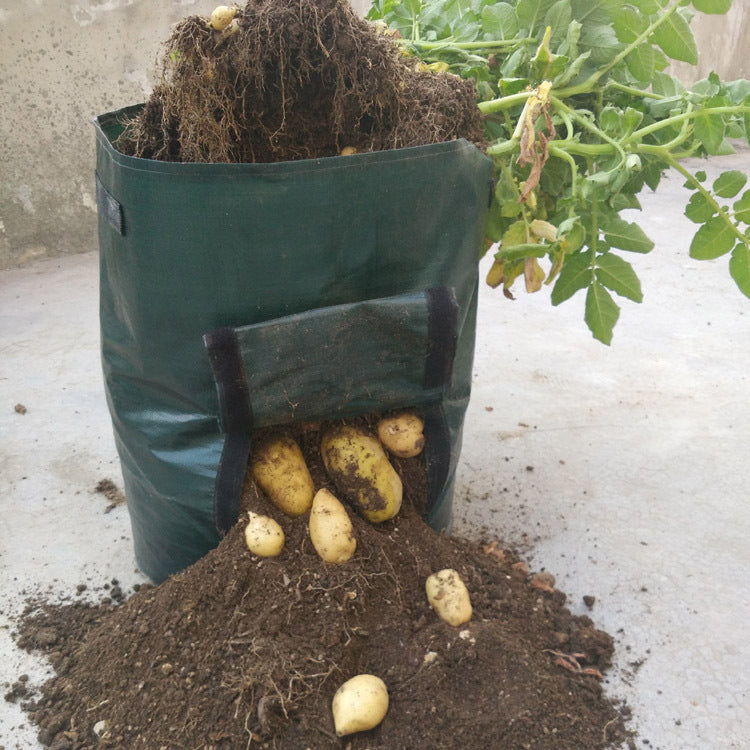 Garden Planting Bag - Fabric Grow Bag for Vegetables & Plants