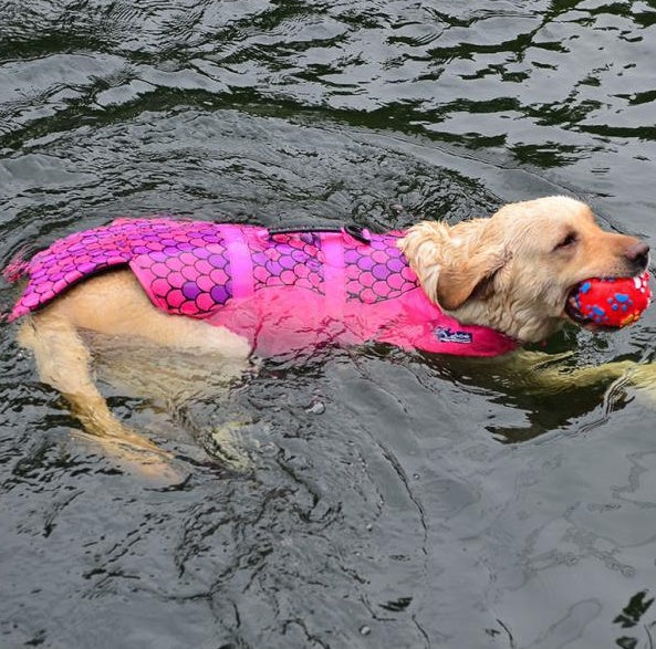 Dog Life Jacket – Pet Swimming Safety Vest for Small & Medium Dogs
