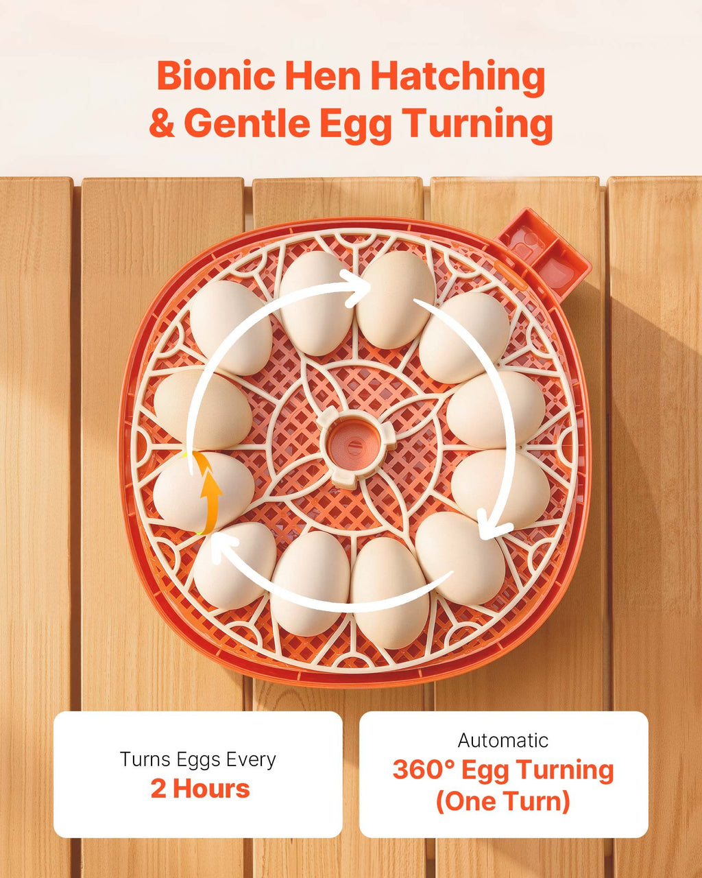 12 Egg Incubator with Automatic Turner, Digital Display & Auto Humidity Control