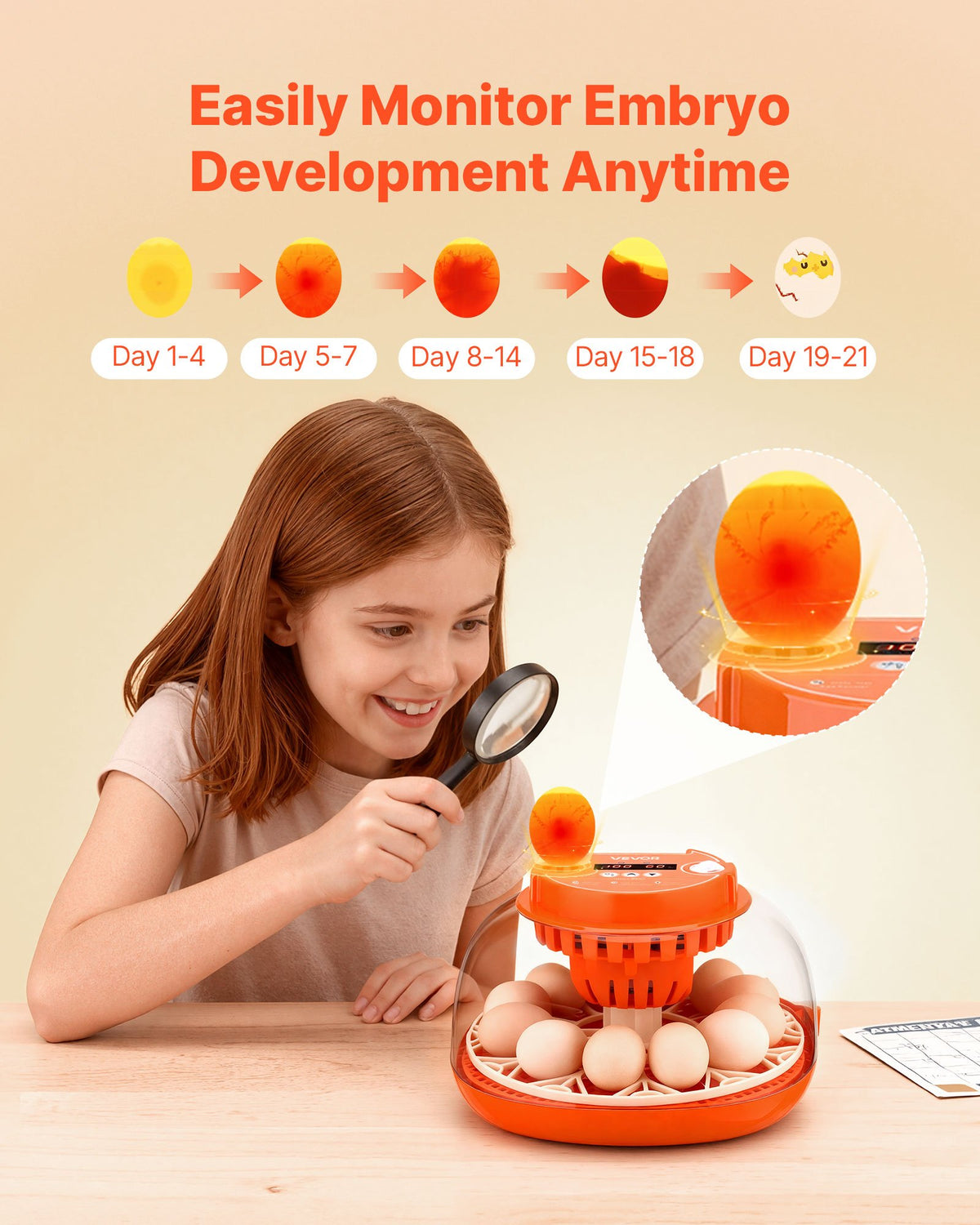 12 Egg Incubator with Automatic Turner, Digital Display & Auto Humidity Control