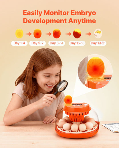 12 Egg Incubator with Automatic Turner, Digital Display & Auto Humidity Control