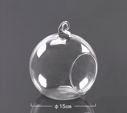 Hanging Glass Planter