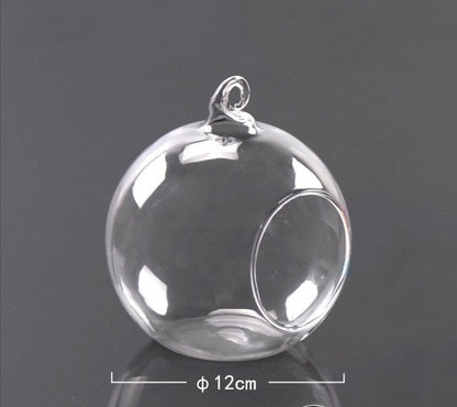 Hanging Glass Planter