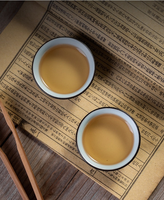 portable teapot