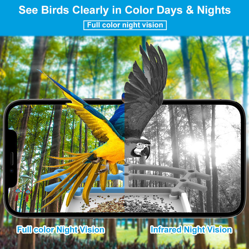 Smart Bird Feeder with Camera – 2K HD Solar Powered Birdhouse with AI Bird ID