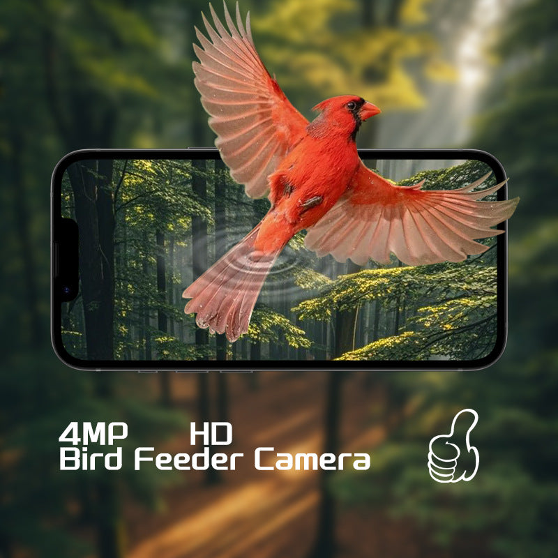 Smart Birdwatching Feeder with Camera – Solar Powered AI Bird Recognition