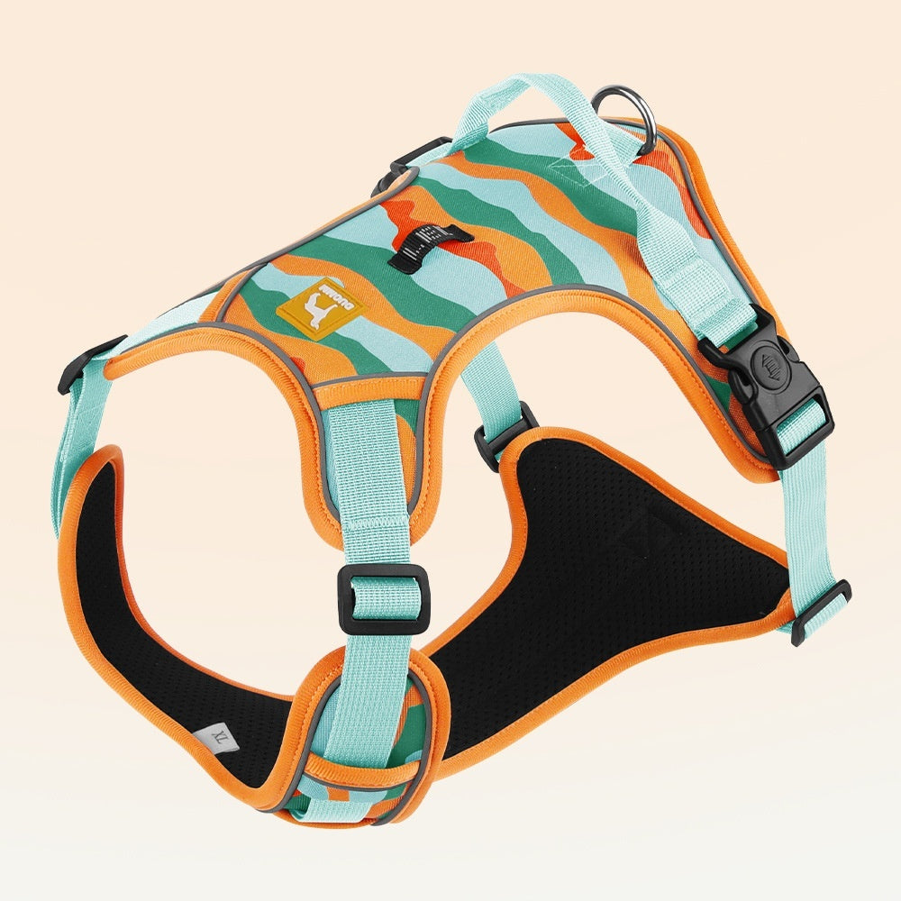 Reflective Dog Leash & Chest Harness Set – Durable Commuter Walking Set