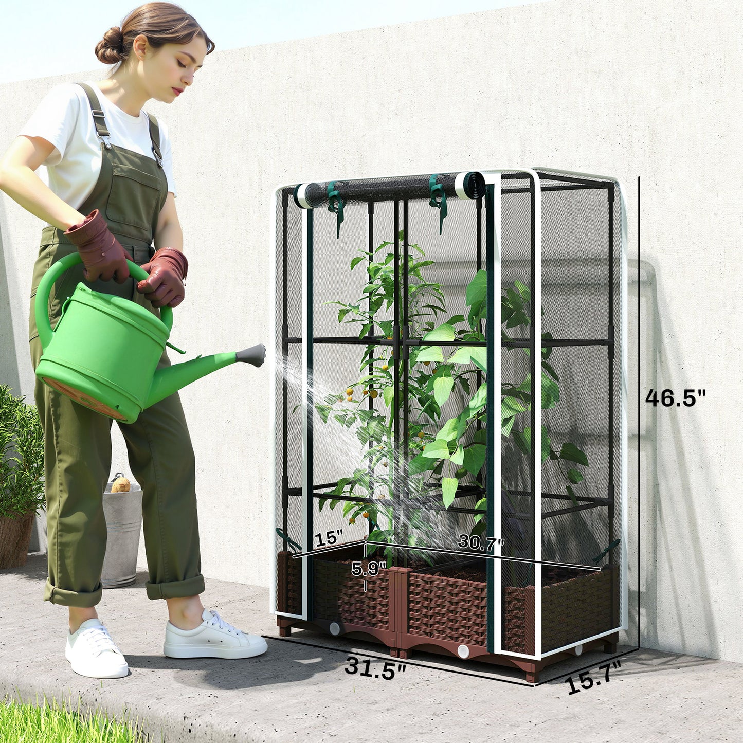 Raised Garden Bed with Trellis