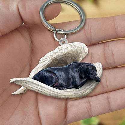Angel 🪽 wings covering are sleeping bestie fur buddies memories Keychain