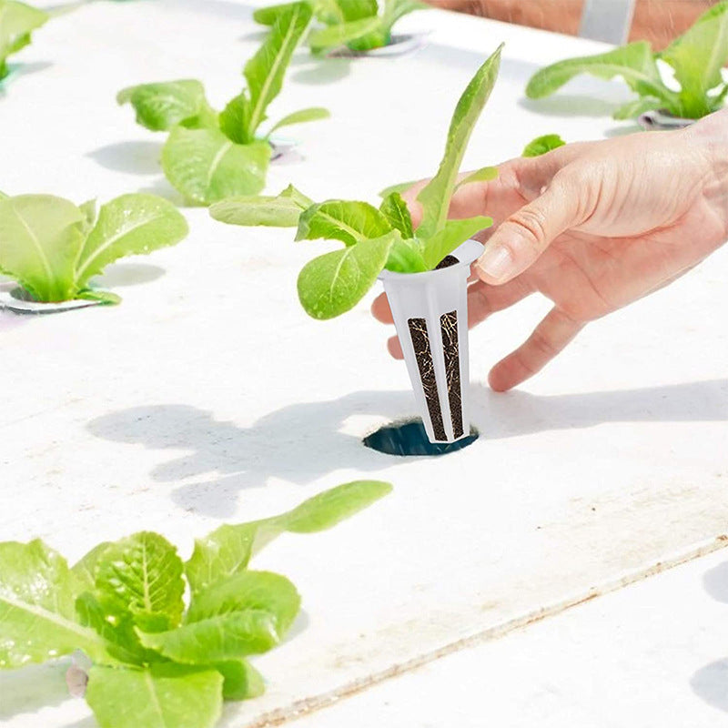 Growing basket from Sheila Merchandise used for easy hydroponic gardening with healthy green plants