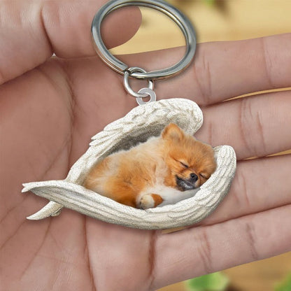 Angel 🪽 wings covering are sleeping bestie fur buddies memories Keychain