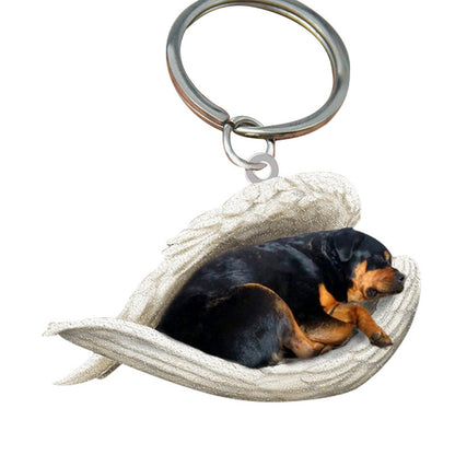 Angel 🪽 wings covering are sleeping bestie fur buddies memories Keychain