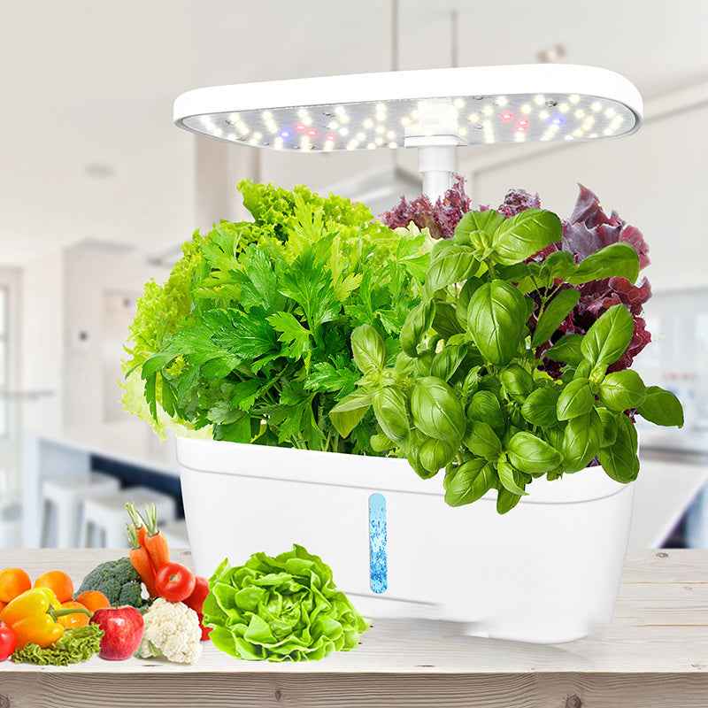 DIY Grow Your Own Vegetables LED Light