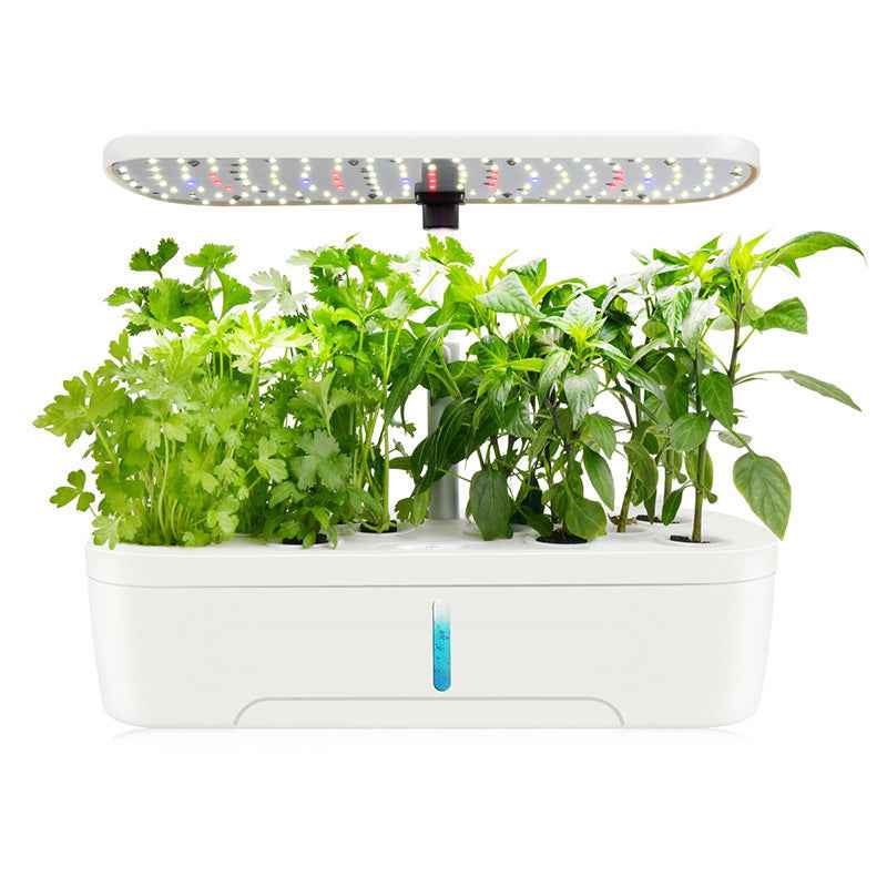 DIY Grow Your Own Vegetables LED Light