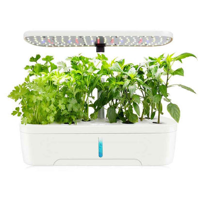 DIY Grow Your Own Vegetables LED Light